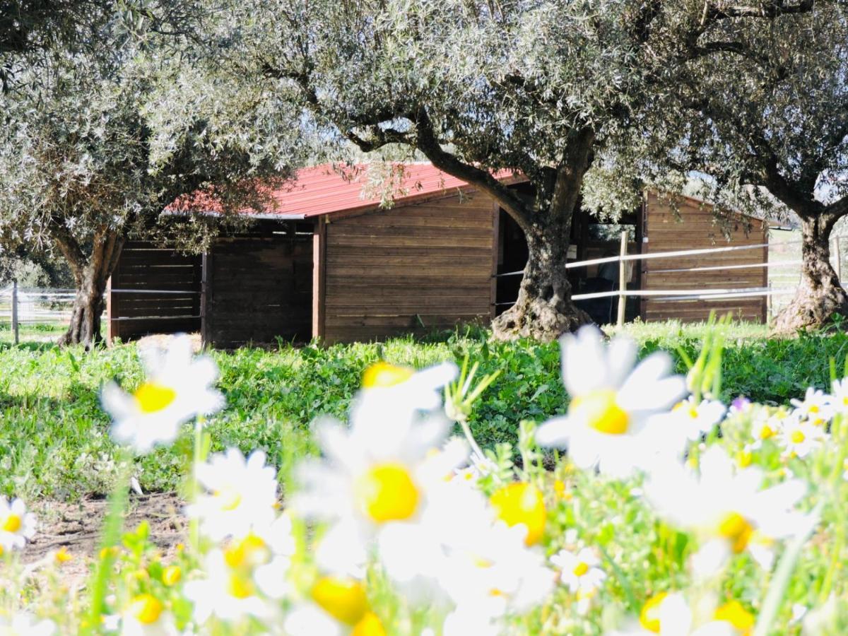 Nogueira Country House Fundão Exterior foto