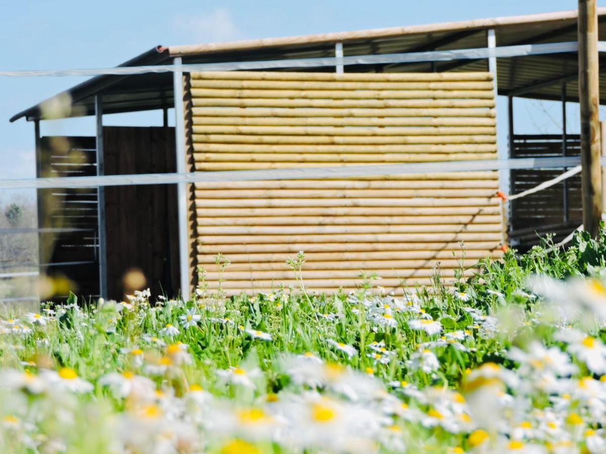 Nogueira Country House Fundão Exterior foto